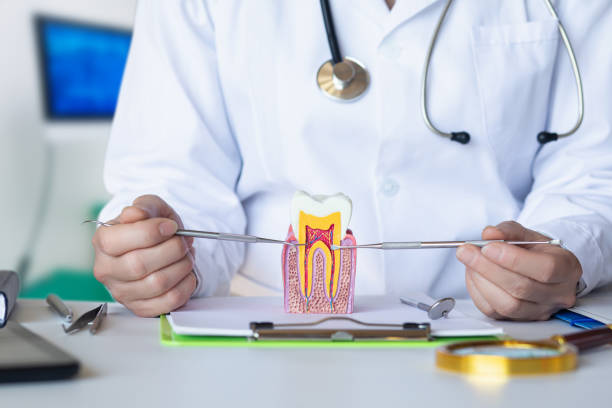 Best Knocked-Out Tooth Emergency  in Leland, NC